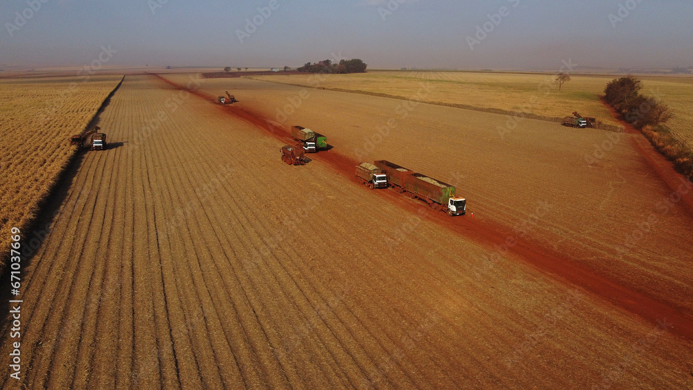 Obraz premium DCIM\103MEDIA\DJI_0298.JPG