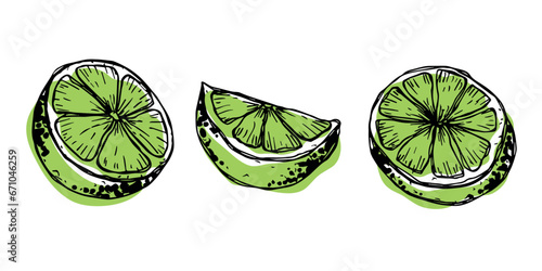 Vector lime clipart. Hand drawn citrus set. Fruit illustration. For print, web, design, decor