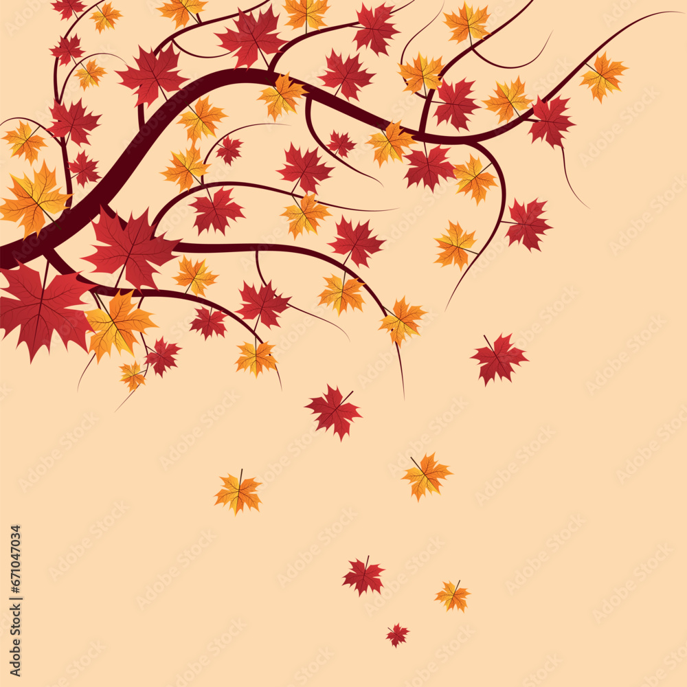 Orange Autumn Maple Leaves on tree. Orange Autumn Maple Leaves on tree.