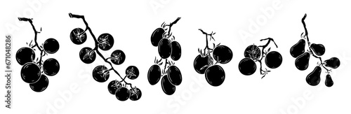 Set of silhouettes, doodles of tomato vegetables. Vector graphics.