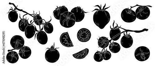 Set of silhouettes, doodles of tomato vegetables. Vector graphics.