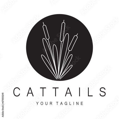 cattails or river reed grass plant logo design, aquatic plants, swamp, wild grass vector