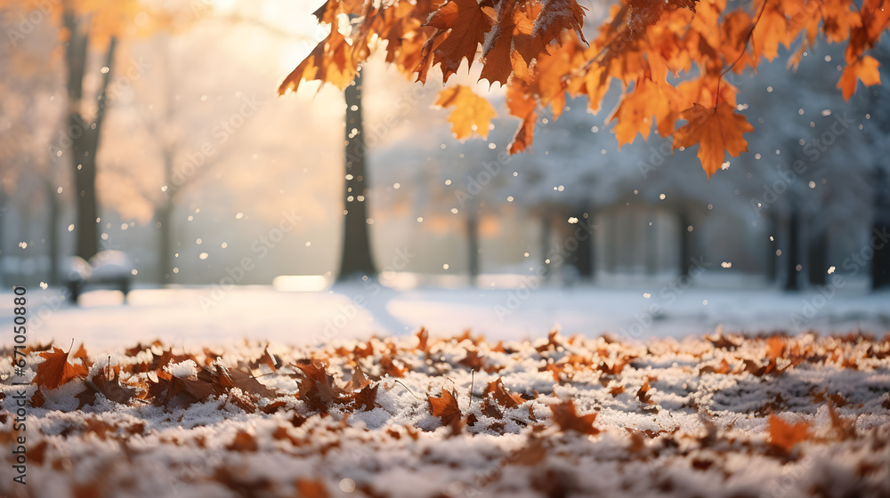 First snow in the falling leaves park