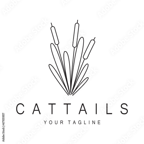 cattails or river reed grass plant logo design, aquatic plants, swamp, wild grass vector