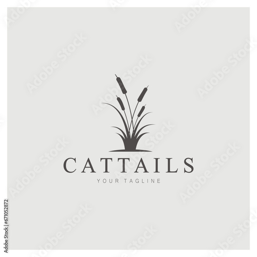 cattails or river reed grass plant logo design, aquatic plants, swamp, wild grass vector