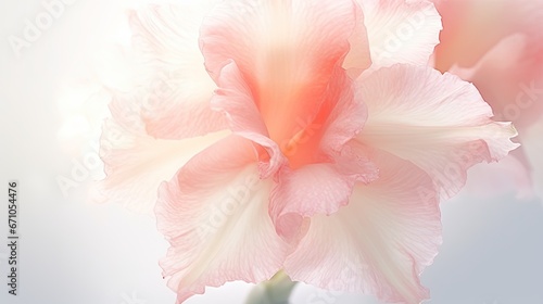  a pink and white flower with a blurry back ground.  generative ai © Nadia