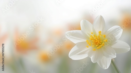  a close up of a white flower with a blurry background. generative ai