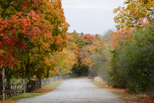 Fall road with no cars