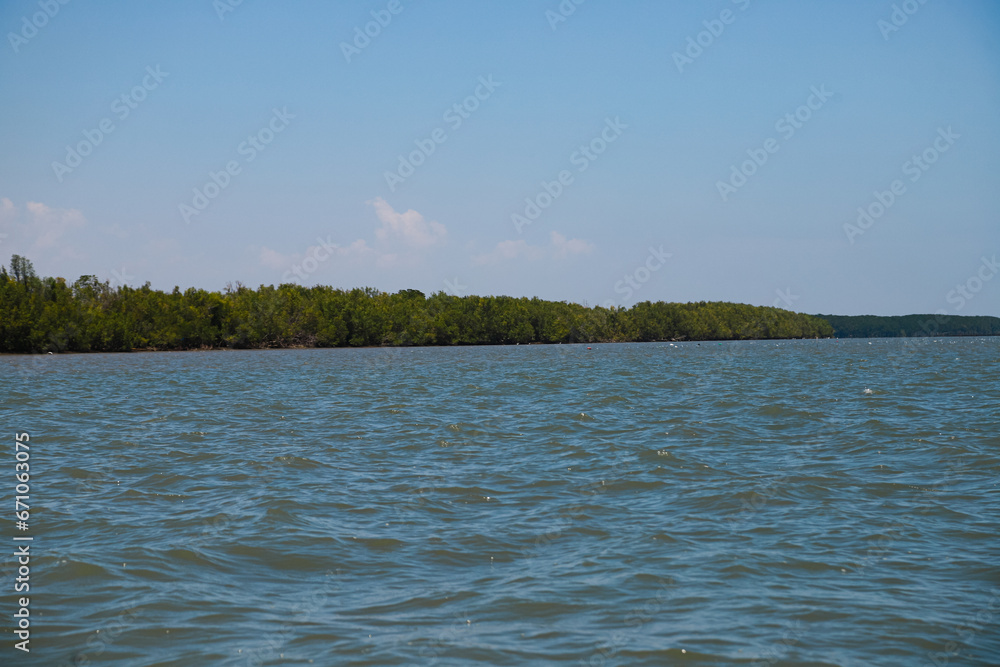 an island full of mangroves can be seen from the middle of the ocean