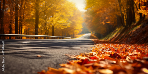 LOW ANGLE, Autumn Leaves on the Ground. Empty road  in autumn time.