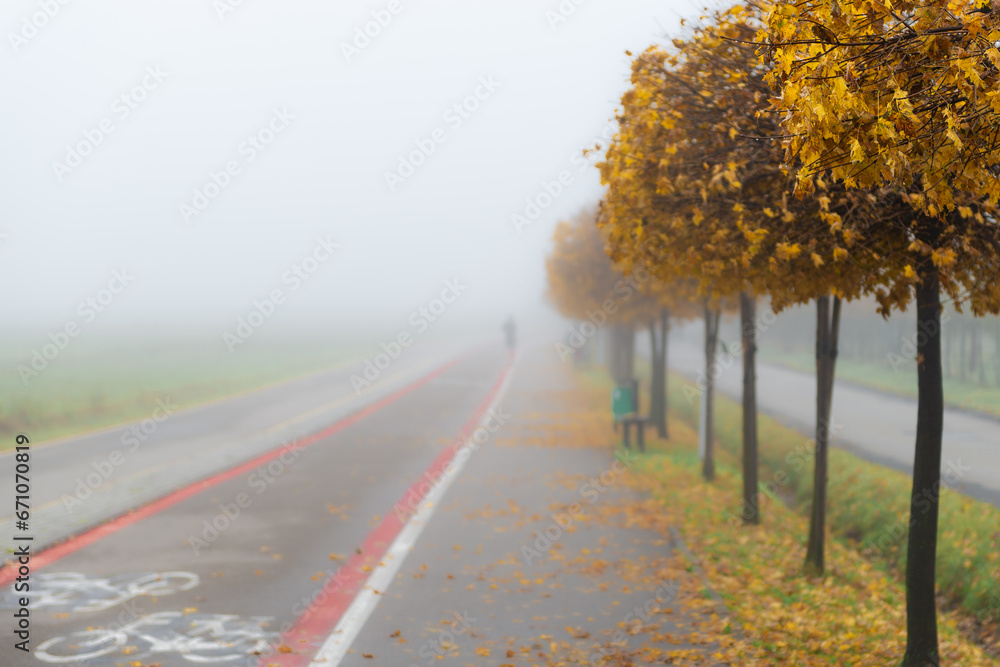 ścieżka rowerowa w jesiennej mgle - obrazy, fototapety, plakaty 