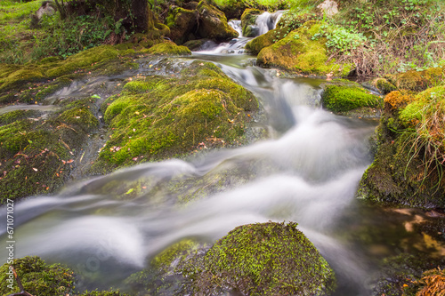 The vibrant ecosystem of a stream, where algae thrive and moss carpets the rocks