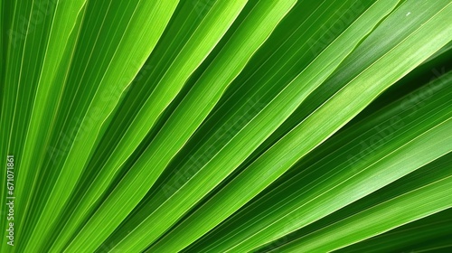  a close up of a green leaf with a blurry background.  generative ai