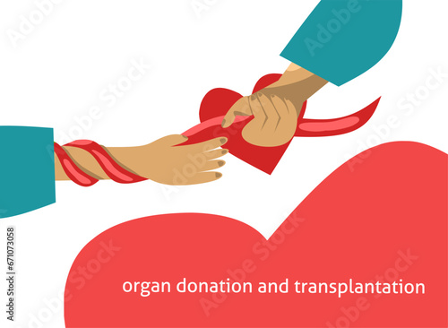 vector illustration of organ donation and transplantation.