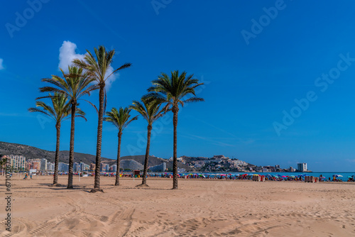 Palm trees Playa Sant Antonio beach Cullera Valencian Community Spain 