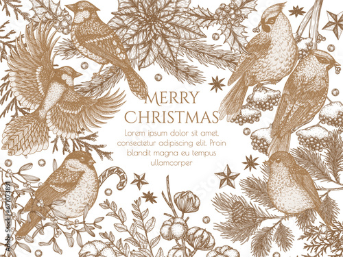 Vector card template with winter birds. Waxwings, robin, bullfinch and blue jay in engraving style