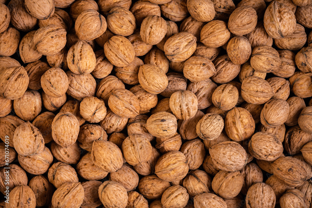 Unshelled, dried walnuts in their shells fill the frame completely. top view Unshelled, dried walnuts in their shells fill the frame completely. top view