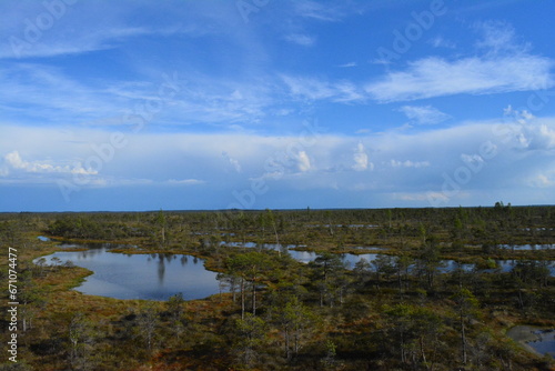 Kemeri national park