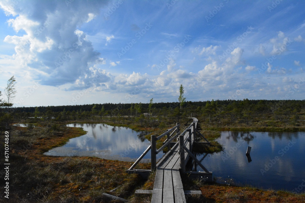 Fototapeta premium Kemeri national park
