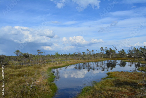 Kemeri national park