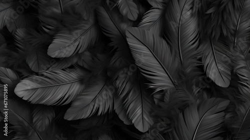  a black and white photo of a bunch of feathers on the ground. generative ai © Nadia