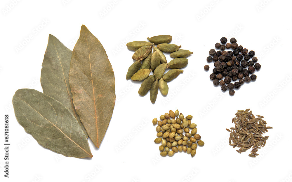 spices isolated on white background (cooking ingredients, herbs, spice) bay leaves, cardamom pods, black peppercorns, coriander seeds, cumin (indian cuisine, asian, middle eastern) cut out spices isolated on white background (cooking ingredients, herbs, spice) bay leaves, cardamom pods, black peppercorns, coriander seeds, cumin (indian cuisine, asian, middle eastern) cut out