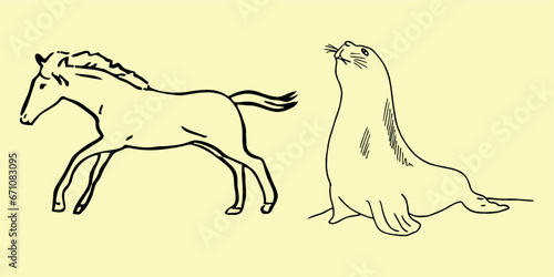 Tableau sur toile Horse, fur seal. Vector drawing, eps