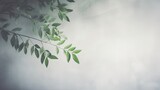  a branch of a tree with green leaves on a white background.  generative ai