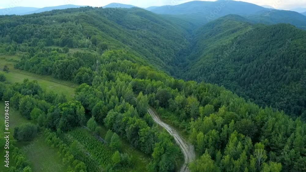 Aerial drone flight above several orchards located in a hilly region near a forest, under the mountains, a forest cabin and a gravel road winding along the valleys. Rural scenery in Eastern Europe Aerial drone flight above several orchards located in a hilly region near a forest, under the mountains, a forest cabin and a gravel road winding along the valleys. Rural scenery in Eastern Europe