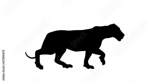 Loopable animation of a walking lion