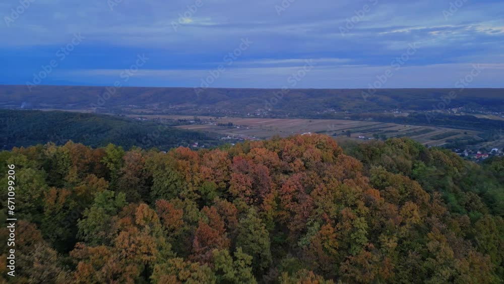 Beautiful landscape with an wild golden forest observed from above the trees. Aerial footage shot by drone in autumn season at twilight Beautiful landscape with an wild golden forest observed from above the trees. Aerial footage shot by drone in autumn season at twilight