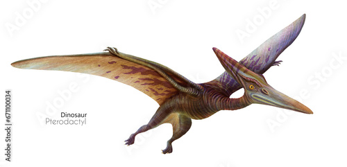 Fototapeta Naklejka Na Ścianę i Meble -  Illustration of a flying pterodactyl.  Flying brown dinosaur. Predator in flight.