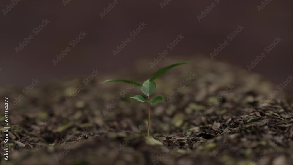 Plants Growing Trees Cgi Animation. Animated Growth of Plants and Trees. Witness the captivating CGI animation as plants and trees sprout and flourish, showcasing the wonder of nature's growth Plants Growing Trees Cgi Animation. Animated Growth of Plants and Trees. Witness the captivating CGI animation as plants and trees sprout and flourish, showcasing the wonder of nature's growth
