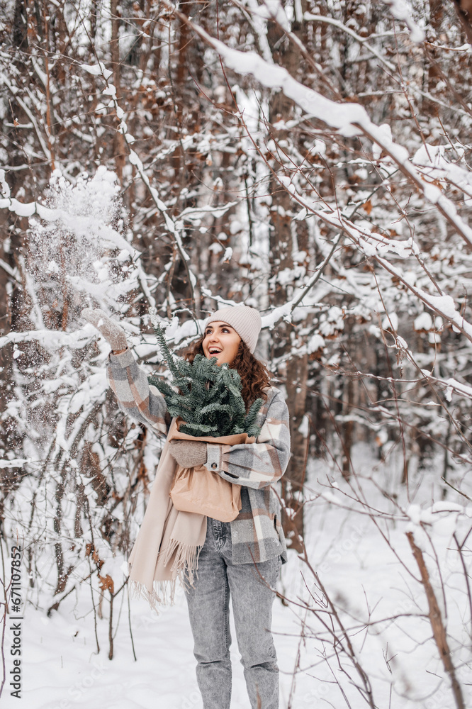 Stylish girl in mittens in a snowy forest holds branches of fir nobilis and throws snow Stylish girl in mittens in a snowy forest holds branches of fir nobilis and throws snow