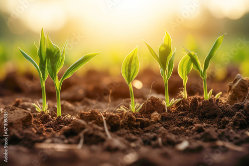 A small saplings emerging from the fresh ground, symbolizing the concept of new life and growth in nature during the spring season.