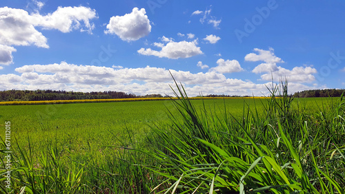 Beautiful spring landscape of fields and meadows in the Polish countryside