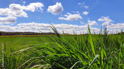 Beautiful spring landscape of fields and meadows in the Polish countryside