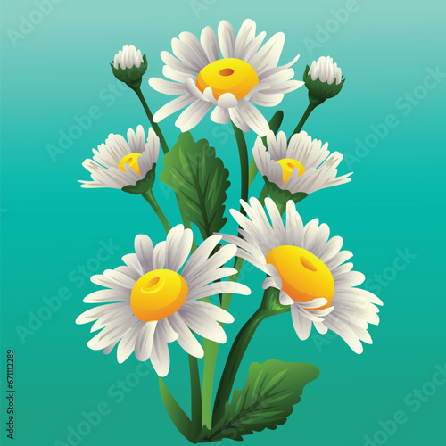 daisy flower bellis flower icon 