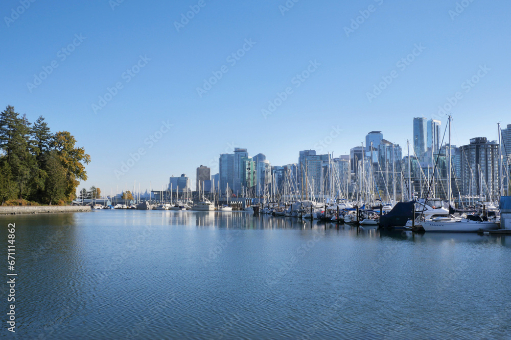Fototapeta premium The skyline of Vancouver as seen from Stanley Park during a fall season in British Columbia, Canada