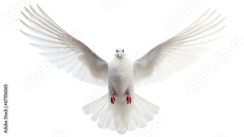 Flying white doves isolated on transparent background photo