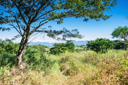 Countryside landscape