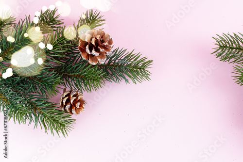 Evergreen twigs on pink background with copy space
