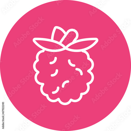 Raspberry Icon