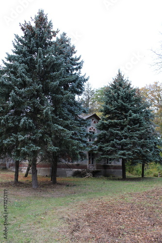 A house with trees around it photo