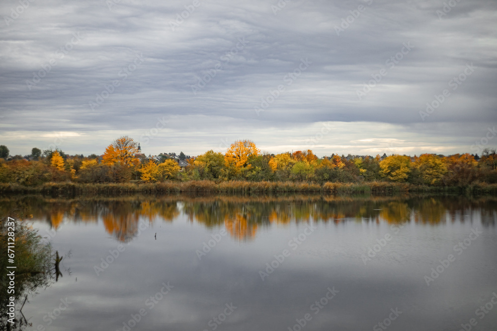 view of the river with trees in autumn
