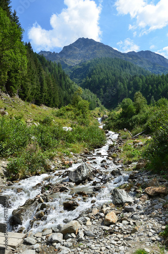 Mountain stream immersed in the greenery of the Alps