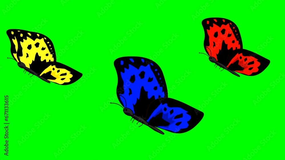 Animated video of three butterflies flying with green background, insect, nature.