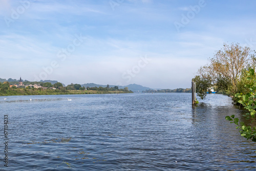 Landscape of Maas river, swimming swans, Belgian village, hills and trees in background blurred and misty, sunny summer day with blue sky and white fuzzy clouds in Eijsden, South Limburg, Netherlands © Emile