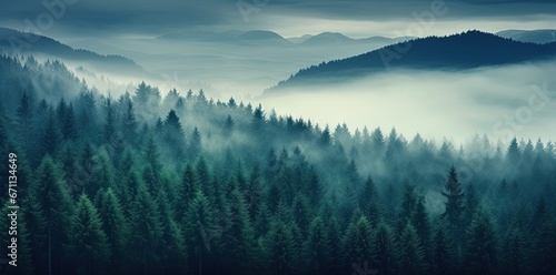 Dawn in the Enchanting Coniferous Forest © DigitalMuse