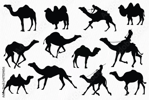 Silhouette set of Desert Camel with humps standing  running and walking. 